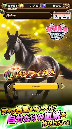 UNIVERSAL STALLION【競馬ゲーム】 | เกม | XWorld