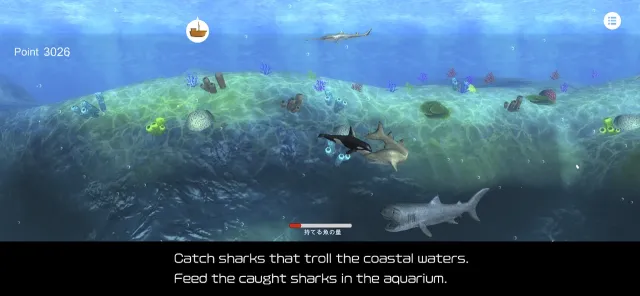 Orca  and marine mammals | Permainan | XWorld