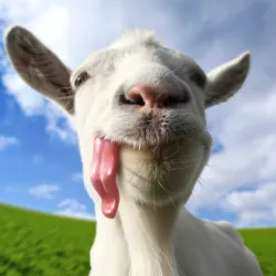 XWorld | Goat Simulator