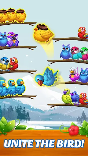 Jungle Bird Sort | Games | XWorld