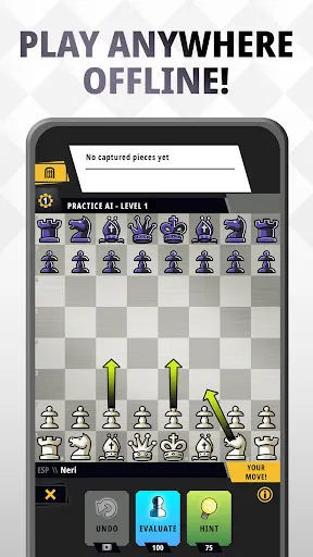 Chess Universe-Play Online | Games | XWorld