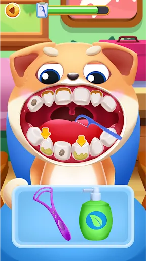 Happy Zoo Dentist: Dental Care | Permainan | XWorld