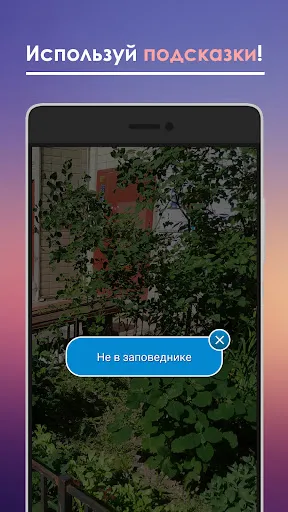 Найди кота | Игры | XWorld Найди кота | Игры | XWorld