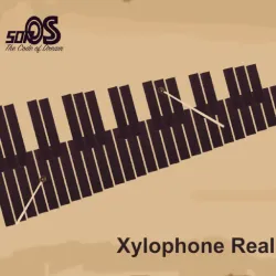 XWorld | Xylophone Real: 2 mallet types
