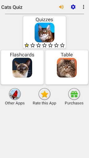 Cats Quiz Guess Popular Breeds | Games | XWorld Cats Quiz Guess Popular Breeds | Games | XWorld