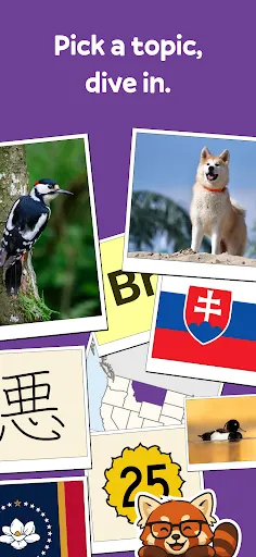 Squiz - Learn as you play | เกม | XWorld Squiz - Learn as you play | เกม | XWorld