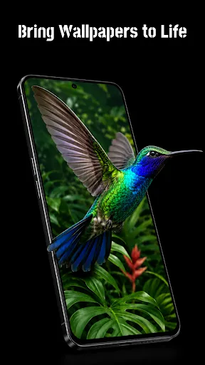 Wallivio: Live Wallpapers | Permainan | XWorld Wallivio: Live Wallpapers | Permainan | XWorld