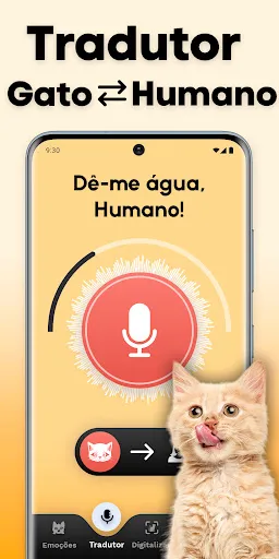 Tradutor de Gatos - Jogo Gato | Jogos | XWorld