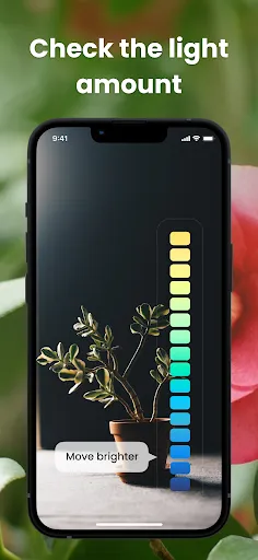PlantIn Plant Identifier, Care | Games | XWorld PlantIn Plant Identifier, Care | Games | XWorld