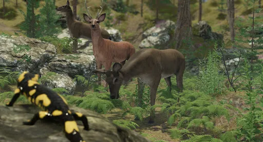 VR ZOO Safari Park Animal Game | Games | XWorld