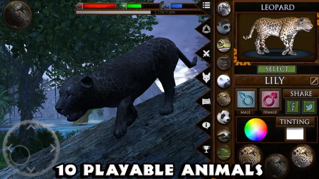 Ultimate Jungle Simulator | Games | XWorld