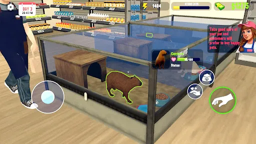 Pet Paradise - Shop Simulator | 游戏 | XWorld