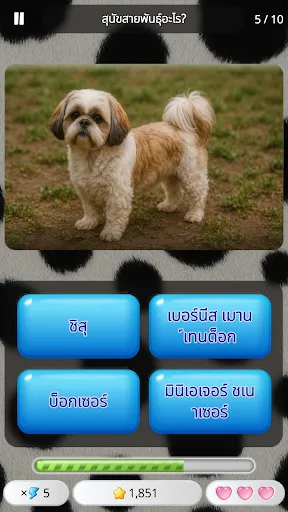 ทายชื่อสัตว์: เกมตอบคำถาม | เกม | XWorld