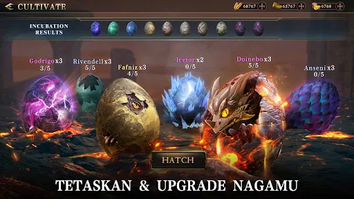 Rise of Dragons | Permainan | XWorld