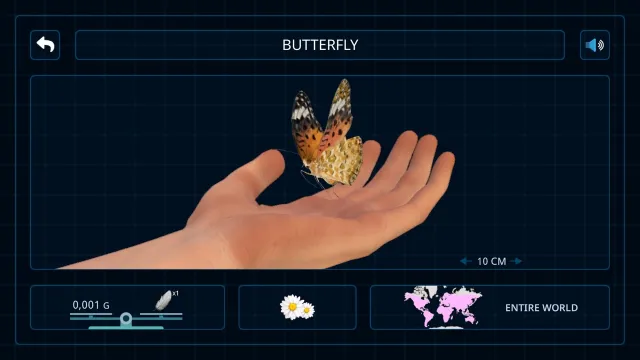 Bugs & Insects (Full Version) | Games | XWorld