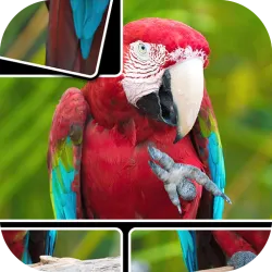 XWorld | JigPic World Journey