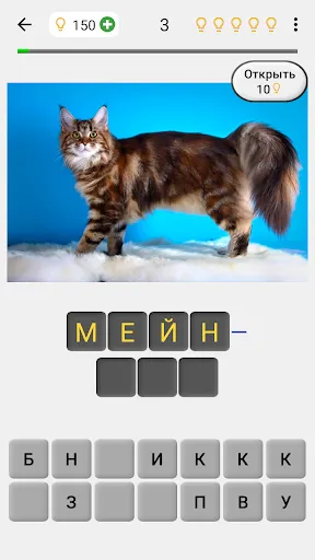 Кошки - Тест о породах кошек | Игры | XWorld Кошки - Тест о породах кошек | Игры | XWorld