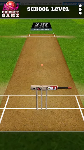 Blind Cricket | juego | XWorld