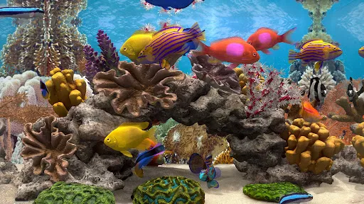 Fish Farm Relax: 3D Aquarium | Permainan | XWorld Fish Farm Relax: 3D Aquarium | Permainan | XWorld