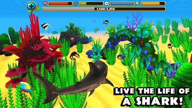 Wildlife Simulator: Shark | Игры | XWorld