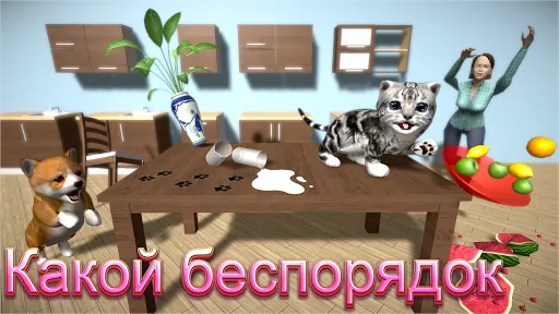 Симулятор Кошки- и друзья | Игры | XWorld