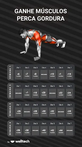 Muscle Booster - Planos Treino | Jogos | XWorld