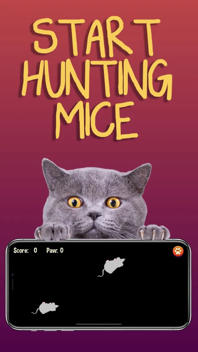 Permainan untuk kucing | Permainan | XWorld