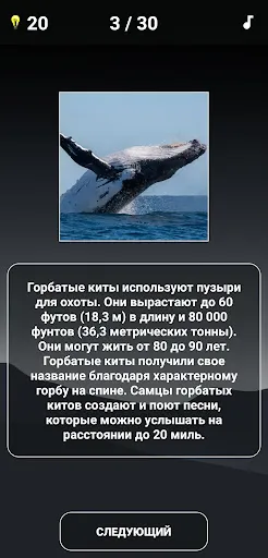 Викторина о животных | Игры | XWorld