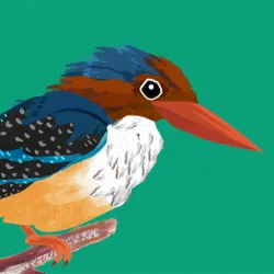 XWorld | Junior Birder Adventure