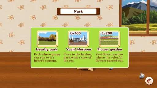 My Dog My Style | Jogos | XWorld