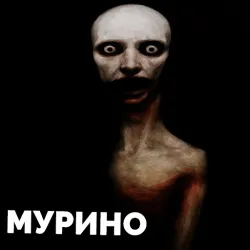 XWorld | Мурино