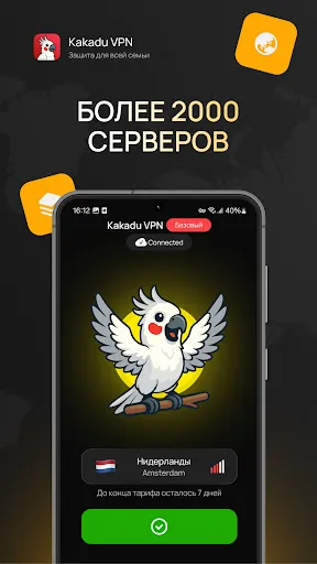 Kakadu VPN: One Family | Игры | XWorld