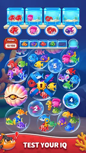 Fish Jam Fever | Игры | XWorld