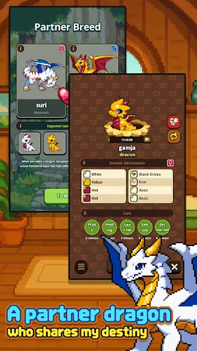 Dragon Village Nest | Games | XWorld