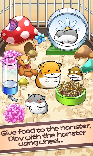 Hamster Life | เกม | XWorld