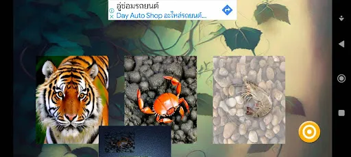 น้ำเต้าปูปลา'23 | เกม | XWorld