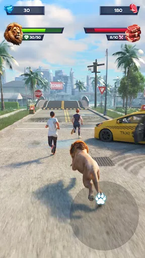 Lion Survival - Wild Beast Sim | 游戏 | XWorld