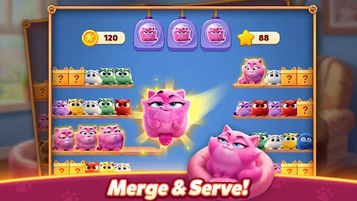 Meow Sort-Color Puzzle Master | Games | XWorld Meow Sort-Color Puzzle Master | Games | XWorld