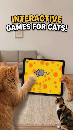 Игры для кошек | Игры | XWorld