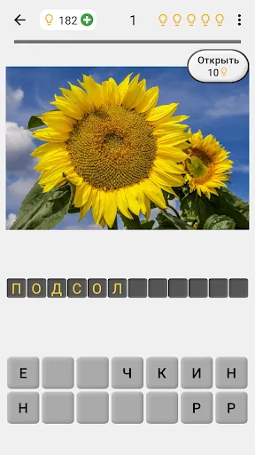 Цветы - Викторина по ботанике | Игры | XWorld