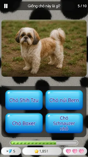 Đoán Con Vật: Trò Chơi Đố | Games | XWorld