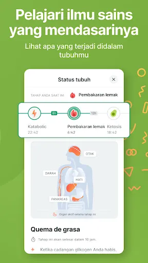 Kompanion Intermittent Fasting | Permainan | XWorld