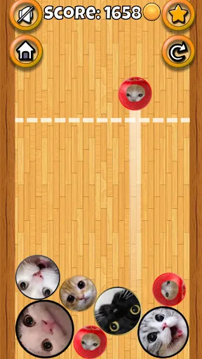 Meme cats: Tamagochi | Игры | XWorld