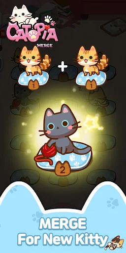 รวมร่างแมว | เกม | XWorld
