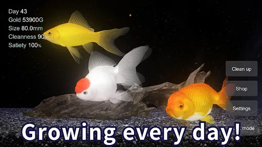 Goldfish 3D Relaxing Aquarium | Games | XWorld Goldfish 3D Relaxing Aquarium | Games | XWorld