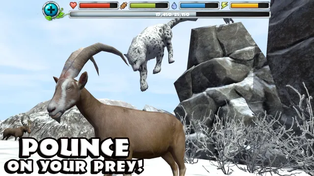 Snow Leopard Simulator | Jogos | XWorld