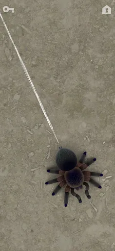 CAT ALONE 2 - Cat Toy | Jogos | XWorld