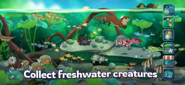 Pondlife — Relaxing Fish Game | 游戏 | XWorld