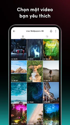 TikTok Video Wallpaper | Games | XWorld