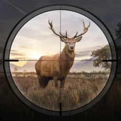 XWorld | Hunting Sniper : Rival